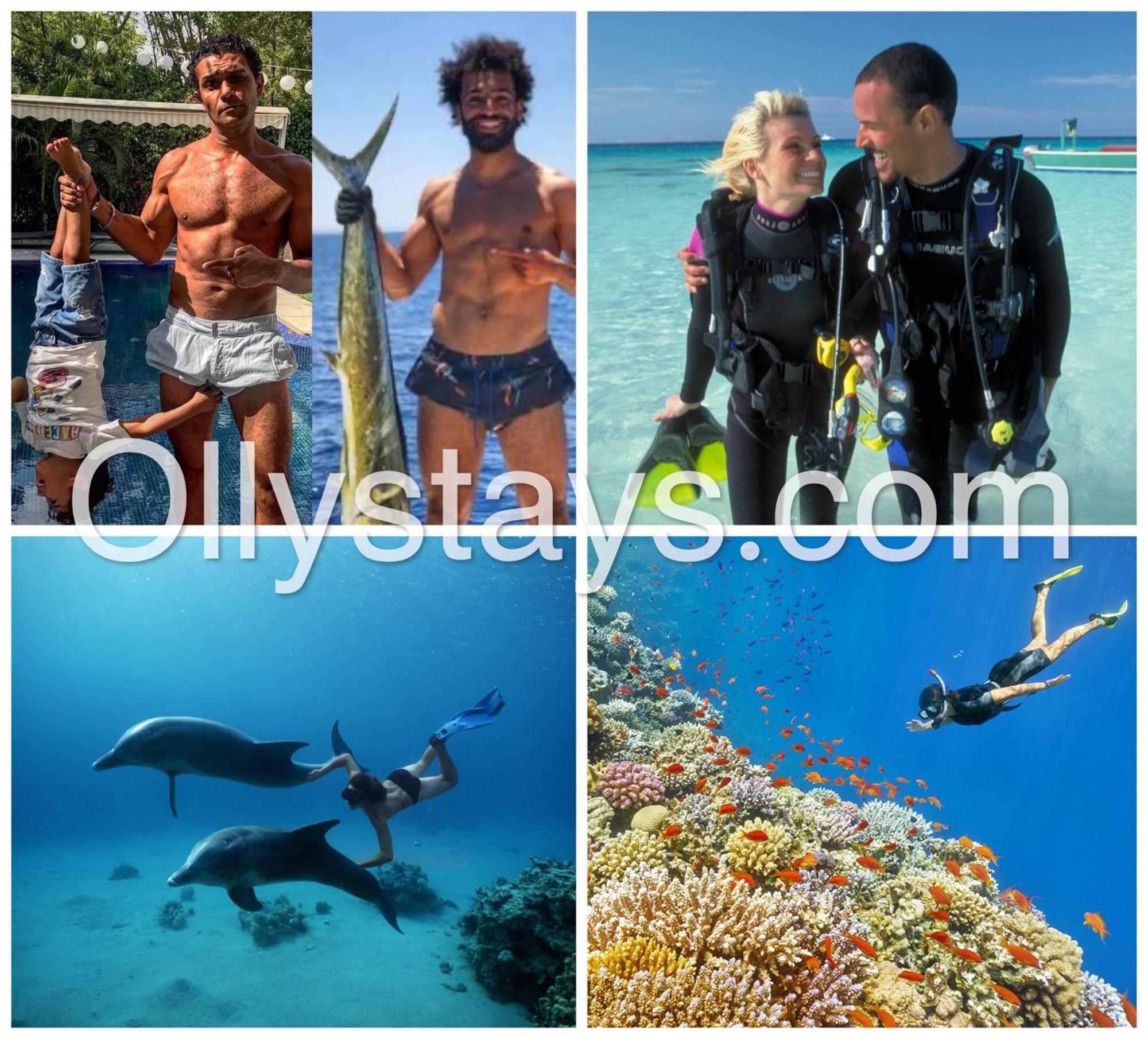 Ollystays Mangroovy 1 Bedroom Beach And Pool Free Access Hurghada Exterior photo